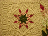 digitised sawtooth background designs for longarm quilting. Designs from www.houseofcreations.biz